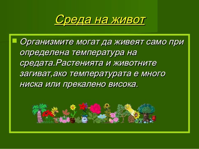 среда на живот