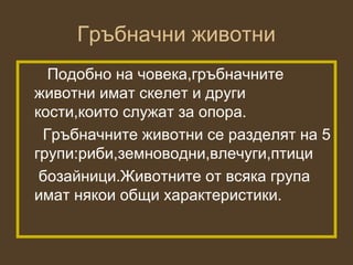 Гръбначни животни
  Подобно на човека,гръбначните
животни имат скелет и други
кости,които служат за опора.
 Гръбначните животни се разделят на 5
групи:риби,земноводни,влечуги,птици
 бозайници.Животните от всяка група
имат някои общи характеристики.
 