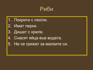 Риби
1.   Покрити с люспи.
2.   Имат перки.
3.   Дишат с хриле.
4.   Снасят яйца във водата.
5.   Не се грижат за малките си.
 