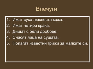 Влечуги
1.   Имат суха люспеста кожа.
2.   Имат четири крака.
3.   Дишат с бели дробове.
4.   Снасят яйца на сушата.
5.   Полагат известни грижи за малките си.
 