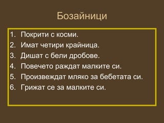 Бозайници
1.   Покрити с косми.
2.   Имат четири крайница.
3.   Дишат с бели дробове.
4.   Повечето раждат малките си.
5.   Произвеждат мляко за бебетата си.
6.   Грижат се за малките си.
 