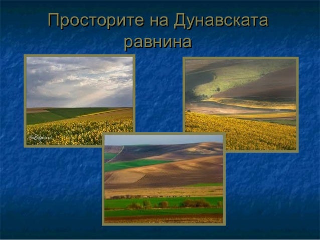 дунавска равнина