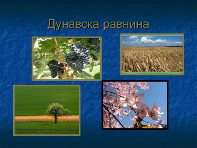 дунавска равнина