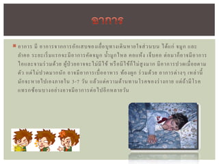  อาการ มี อาการจากการอัก เสบของเยื่ อ บุ ท างเดิ น หายใจส่ ว นบน ได้ แ ก่ จมู ก และ
  ลาคอ ระยะเริ่ มแรกจะมี อ าการคัด จมู ก น้ า มู ก ไหล คอแห้ ง เจ็ บ คอ ต่ อ มาก็ อ าจมี อ าการ
  ไอและจามร่ วมด้ ว ย ผู ้ป่ วยอาจจะไม่ มี ไ ข้ หรื อมี ไ ข้ ก็ ไ ม่ สู ง มาก มี อ าการปวดเมื่ อ ยตาม
  ตัว แต่ ไ ม่ ป วดมากนั ก อาจมี อ าการเบื่ อ อาหาร ท้อ งผู ก ร่ วมด้ ว ย อาการต่ า งๆ เหล่ า นี้
  มัก จะหายไปเองภายใน 3-7 วัน แล้ว แต่ ค วามต้ า นทานโรคของร่ างกาย แต่ ถ้ า มี โ รค
  แทรกซ้ อ นบางอย่ า งอาจมี อ าการต่ อ ไปอี ก หลายวัน
 