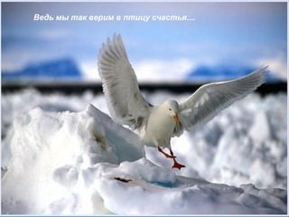 Ведь мы так верим в птицу счастья....
 