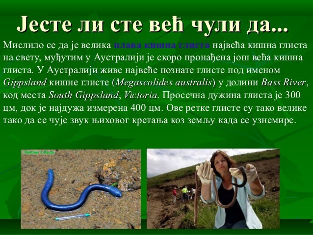 Чланковити црви