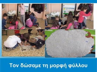 ●


●




Τον δώσαμε τη μορφή φύλλου
 