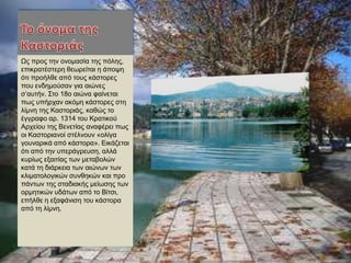 Ωο πξνο ηελ νλνκαζία ηεο πόιεο,
επηθξαηέζηεξε ζεσξείηαη ε άπνςε
όηη πξνήιζε από ηνπο θάζηνξεο
πνπ ελδεκνύζαλ γηα αηώλεο
ζ’απηήλ. Σην 18ν αηώλα θαίλεηαη
πσο ππήξραλ αθόκε θάζηνξεο ζηε
ιίκλε ηεο Καζηνξηάο, θαζώο ην
έγγξαθν αξ. 1314 ηνπ Κξαηηθνύ
Αξρείνπ ηεο Βελεηίαο αλαθέξεη πσο
νη Καζηνξηαλνί ζηέιλνπλ «νιίγα
γνπλαξηθά από θάζηνξα». Εηθάδεηαη
όηη από ηελ ππεξάγξεπζε, αιιά
θπξίσο εμαηηίαο ησλ κεηαβνιώλ
θαηά ηε δηάξθεηα ησλ αηώλσλ ησλ
θιηκαηνινγηθώλ ζπλζεθώλ θαη πξν
πάλησλ ηεο ζηαδηαθήο κείσζεο ησλ
νξκεηηθώλ πδάησλ από ην Βίηζη,
επήιζε ε εμαθάληζε ηνπ θάζηνξα
από ηε ιίκλε.
 