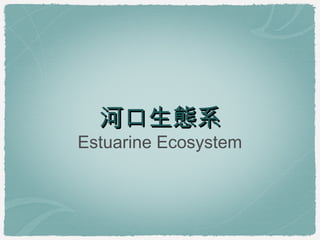 河口生態系
Estuarine Ecosystem
 