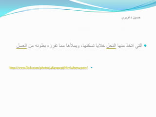 


http://www.flickr.com/photos/48474913@N07/4897043007/   
 