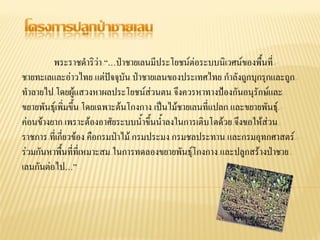 พระราชดาริว่า “…ป่าชายเลนมีประโยชน์ต่อระบบนิเวศน์ของพื้นที่
ชายทะเลและอ่าวไทย แต่ปัจจุบัน ป่าชายเลนของประเทศไทย กาลังถูกบุกรุกและถูก
ทาลายไป โดยผู้แสวงหาผลประโยชน์ส่วนตน จึงควรหาทางป้องกันอนุรักษ์และ
ขยายพันธุ์เพิ่มขึ้น โดยเฉพาะต้นโกงกาง เป็นไม้ชายเลนที่แปลก และขยายพันธุ์
ค่อนข้างยาก เพราะต้องอาศัยระบบน้าขึ้นน้าลงในการเติบโตด้วย จึงขอให้ส่วน
ราชการ ที่เกี่ยวข้อง คือกรมป่าไม้ กรมประมง กรมชลประทาน และกรมอุทกศาสตร์
ร่วมกันหาพื้นที่ที่เหมาะสม ในการทดลองขยายพันธุ์โกงกาง และปลูกสร้างป่าชาย
เลนกันต่อไป…”
 