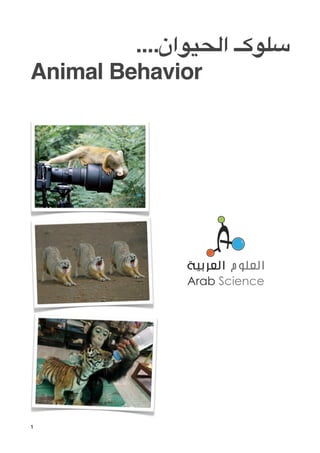 ....‫*)#(ــ ا&%$#ان‬
Animal Behavior




1
 