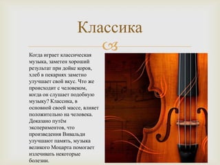 Классика
                      
Когда играет классическая
музыка, заметен хороший
результат при дойке коров,
хлеб в пекарнях заметно
улучшает свой вкус. Что же
происходит с человеком,
когда он слушает подобную
музыку? Классика, в
основной своей массе, влияет
положительно на человека.
Доказано путѐм
экспериментов, что
произведения Вивальди
улучшают память, музыка
великого Моцарта помогает
излечивать некоторые
болезни.
 