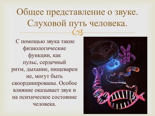 Общее представление о звуке.
   Слуховой путь человека.
                      
  С помощью звука такие
     физиологические
       функции, как
     пульс, сердечный
ритм, дыхание, пищеварен
      ие, могут быть
скоординированы. Особое
 влияние оказывает звук и
на психическое состояние
         человека.
 