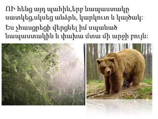 ՈՒ հենց այդ պահին,երբ նապաստակը
սատկեց,սկսեց անձրև, կարկուտ և կայծակ:
Ես չհասցրեցի վերցնել իմ սպանած
նապաստակին և փախա մտա մի արջի բույն:
 