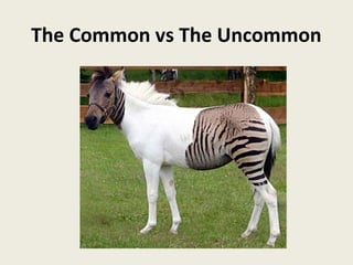 The Common vs The Uncommon
 