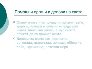 окото како оптички систем | PPT