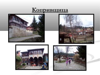 Копривщица
 