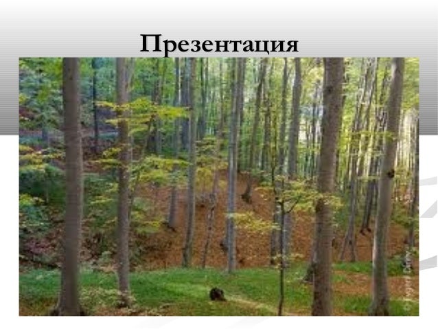 задбалкански котловини,витоша и средна гора