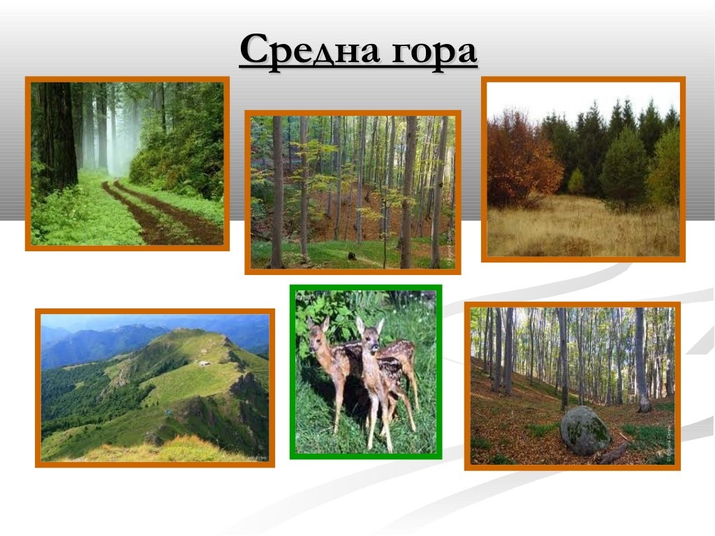 задбалкански котловини,витоша и средна гора