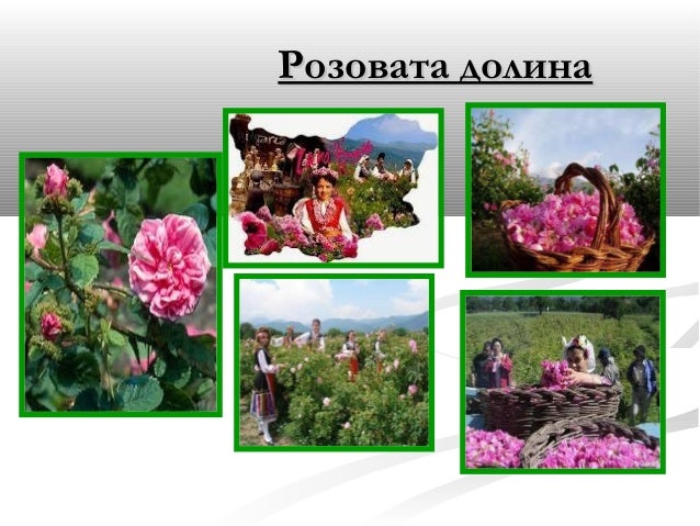 задбалкански котловини,витоша и средна гора