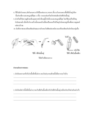 8. ใชใบมีดโกนคมๆ ตัดใบตามขวางใหเปนแผนบางๆ หลายๆ ชิ้น ลงในจานเพาะเชื้อที่มีน้ําอยู เลือก
    ชิ้นสวนที่ยาวและสมบูรณที่สุด 1-2 ชิ้น วางบนแผนสไลด ทําเชนเดียวกับพืชใบเลี้ยงคู
9. นําสไลดไปตรวจดูดวยกลองจุลทรรศน เลือกดูชิ้นใบทีบางและสมบูรณที่สุด โดยใชเลนสใกลวัตถุ
                                                        ่
   กําลังขยายต่า เมื่อเห็นโครงสรางทั้งหมดแลวเปลี่ยนเปนเลนสใกลวัตถุกําลังขยายสูงขึ้นเพื่อตรวจดูเซลล
                ํ
   แตละบริเวณ
10. บันทึกภาพและเปรียบเทียบลักษณะภายในของใบพืชแตละชนิด และเปรียบเทียบกับนักเรียนกลุมอื่น




                                                              วิธีตัดใบพืชตามขวาง



คําถามกอนการทดลอง

1. นักเรียนทราบหรือไมวาเนื้อเยื่อชั้นตางๆ ของใบประกอบดวยเนื้อเยื่อถาวรอะไรบาง
..............................................................................................................................................................
..............................................................................................................................................................
..............................................................................................................................................................

2. นักเรียนคิดวาเนื้อเยื่อชั้นตางๆ ของใบพืชใบเลี้ยงเดียวกับใบพืชใบเลี้ยงคู เหมือนกันหรือตางกันอยางไร
                                                                                    ่
..............................................................................................................................................................
..............................................................................................................................................................
..............................................................................................................................................................
 