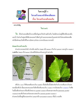 ใบความรูที่ 1
                               โครงสรางและหนาที่ของพืชดอก
                                เรื่อง โครงสรางภายในของใบ

  สาระสําคัญ
                                               ใบ( Leaf )

     ใบ เปนสวนของพืชหรือรยางคที่เจริญออกไปบริเวณดานขาง โดยมีตําเหนงอยูที่ขอปลองของตน
และกิ่ง ใบสวนใหญจะมีสีเขียวของคลอโรฟลล รูปรางและขนาดของใบแตกตางกันไปตามชนิดของพืช
หนาที่หลักของใบคือใชในการสังเคราะหแสง การหายใจและการคายน้าํ

ลักษณะโครงสรางของใบ
     สวนประกอบของใบมี 3 สวนคือ แผนใบ ( blade หรือ lamina ) กานใบ ( petiole ) และหูใบ ( stipule )
1.แผนใบ ( blade หรือ lamina ) มักแผเปนมีขนาดใบและรูปรางตางกัน




      เสนใบ ( vein ) ใหสังเกตเสนกลางใบ ( midrib ) ซึ่งตอเปนเนื้อเดียวกับกานใบ จากเสนกลางใบแยก
ออกเปนเสนใบ ซึ่งจะแยกแขนงออกไปอีกเปนเสนแขนงใบ ( vientet ) การเรียงของใบ ( venation ) ในพืช
ใบเลี้ยงเดียวสวนมาก เปนเสนใบขนาน ( parallel venation )เรียงตามยาวของใบ (plamately parallel
           ่
venation) และเสนใบขนานกันตามขวางของใบ ( pinately parallel venation )
สวนของใบเลียงคูเปนแบบตาขาย ( netted หรือ recticulated venation ) ซึ่งมี 2 แบบคือ
               ้
 