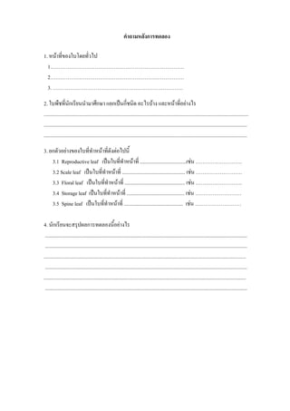คําถามหลังการทดลอง

1. หนาที่ของใบโดยทั่วไป
  1……………………………………………………………………
  2……………………………………………………………………
  3. ………………………………………………………………….

2. ใบพืชที่นักเรียนนํามาศึกษา แยกเปนกี่ชนิด อะไรบาง และหนาที่อยางไร
...............................................................................................................................................................
..............................................................................................................................................................
..............................................................................................................................................................

3. ยกตัวอยางของใบที่ทําหนาที่ดังตอไปนี้
    3.1 Reproductive leaf เปนใบที่ทําหนาที่ ....................................เชน ………………………
    3.2 Scale leaf เปนใบที่ทําหนาที่ ................................................. เชน ………………………
    3.3 Floral leaf เปนใบที่ทําหนาที่ ............................................... เชน ………………………
    3.4 Storage leaf เปนใบที่ทาหนาที่ ............................................. เชน ………………………
                                ํ
    3.5 Spine leaf เปนใบที่ทําหนาที่ .............................................. เชน ………………………

4. นักเรียนจะสรุปผลการทดลองนี้อยางไร
 .............................................................................................................................................................
 .............................................................................................................................................................
.............................................................................................................................................................
 .............................................................................................................................................................
.............................................................................................................................................................
 .............................................................................................................................................................
 