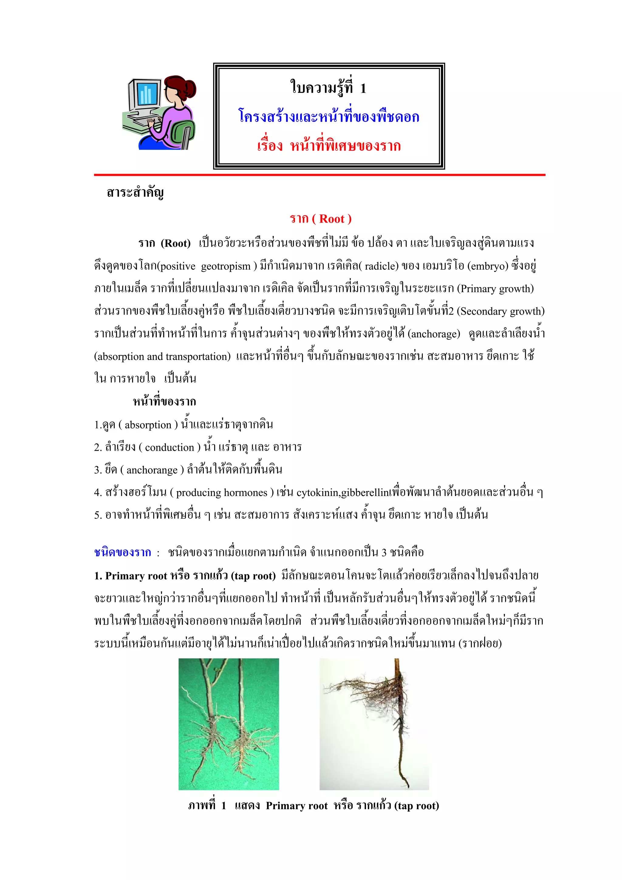 ใบความรูที่ 1
                               โครงสรางและหนาที่ของพืชดอก
                                  เรื่อง หนาที่พิเศษของราก

  สาระสําคัญ
                                          ราก ( Root )
            ราก (Root) เปนอวัยวะหรือสวนของพืชที่ไมมี ขอ ปลอง ตา และใบเจริญลงสูดินตามแรง
ดึงดูดของโลก(positive geotropism ) มีกําเนิดมาจาก เรดิเคิล( radicle) ของ เอมบริโอ (embryo) ซึ่งอยู
ภายในเมล็ด รากที่เปลี่ยนแปลงมาจาก เรดิเคิล จัดเปนรากที่มีการเจริญในระยะแรก (Primary growth)
สวนรากของพืชใบเลี้ยงคูหรือ พืชใบเลี้ยงเดี่ยวบางชนิด จะมีการเจริญเติบโตขั้นที่2 (Secondary growth)
รากเปนสวนทีทําหนาที่ในการ ค้ําจุนสวนตางๆ ของพืชใหทรงตัวอยูได (anchorage) ดูดและลําเลียงน้ํา
                ่
(absorption and transportation) และหนาทีอื่นๆ ขึ้นกับลักษณะของรากเชน สะสมอาหาร ยึดเกาะ ใช
                                              ่
ใน การหายใจ เปนตน
          หนาที่ของราก
1.ดูด ( absorption ) น้ําและแรธาตุจากดิน
2. ลําเรียง ( conduction ) น้ํา แรธาตุ และ อาหาร
3. ยึด ( anchorange ) ลําตนใหติดกับพื้นดิน
4. สรางฮอรโมน ( producing hormones ) เชน cytokinin,gibberellinเพื่อพัฒนาลําตนยอดและสวนอื่น ๆ
5. อาจทําหนาที่พิเศษอื่น ๆ เชน สะสมอาการ สังเคราะหแสง ค้ําจุน ยึดเกาะ หายใจ เปนตน

ชนิดของราก : ชนิดของรากเมื่อแยกตามกําเนิด จําแนกออกเปน 3 ชนิดคือ
1. Primary root หรือ รากแกว (tap root) มีลักษณะตอนโคนจะโตแลวคอยเรียวเล็กลงไปจนถึงปลาย
จะยาวและใหญกวารากอื่นๆที่แยกออกไป ทําหนาที่ เปนหลักรับสวนอื่นๆใหทรงตัวอยูได รากชนิดนี้
พบในพืชใบเลี้ยงคูที่งอกออกจากเมล็ดโดยปกติ สวนพืชใบเลี้ยงเดียวที่งอกออกจากเมล็ดใหมๆก็มราก
                                                               ่                           ี
ระบบนี้เหมือนกันแตมีอายุไดไมนานก็เนาเปอยไปแลวเกิดรากชนิดใหมขึ้นมาแทน (รากฝอย)




                    ภาพที่ 1 แสดง Primary root หรือ รากแกว (tap root)
 