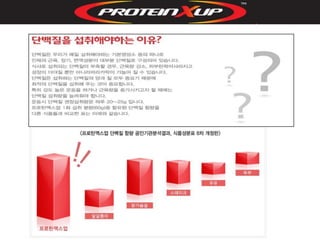 프로틴 엑스업 마케팅그룹코칭 자료