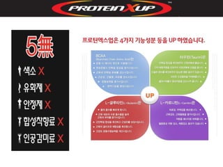 프로틴 엑스업 마케팅그룹코칭 자료