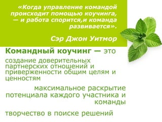 Команда чемпионов | PPT