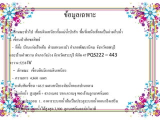 ข้อมูลเฉพาะ
1. ลักษณะทัวไป เขื่อนดินเหนียวกั้นแม่น้ าป่ าสัก พื้นที่เหนือเขื่อนเป็ นอ่างเก็บน้ า
               ่
2. เขื่อนป่ าสักชลสิ ทธ์
  - ที่ต้ง บ้านแก่งเสื อเต้น ตาบลหนองบัว อาเภอพัฒนานิคม จังหวัดลพบุรี
         ั
                                                    ั
และบ้านคาพราน อาเภอวังม่วง จังหวัดสระบุรี พิกด 47 PQS222 – 443
ระวาง 5238 IV
   - ลักษณะ เขื่อนดินมีแกนดินเหนียว
  - ความยาว 4,860 เมตร
  - ระดับสันเขื่อน +46.5 เมตรเหนือระดับน้ าทะเลปานกลาง
  - เก็บกักน้ า สูงสุ ดที่ + 43.0 เมตร รทก.ความจุ 960 ล้านลูกบาศก์เมตร
   - อาคารประกอบ 1. อาคารระบายน้ าล้นเป็ นประตูระบายน้ าคอนกรี ตเสริ ม
เหล็ก 7 ช่อง ระบายน้ าได้สูงสุ ด 3,900 ลูกบาศก์เมตรต่อวินาที
 