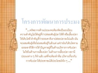 โครงการพัฒนาการประมง
      "…ทรัพยากรด้านประมงจะต้องจัดเป็นระเบียบ
ความสาคัญไม่ได้อยูที่ว่าปล่อยพันธุ์ปลาให้ดี หรือเลี้ยงปลา
                     ่
ให้เติบโตดี สาคัญที่ว่าธรรมชาติเราปล่อยปลาลงไปแล้ว มัน
จะผสมพันธุ์หรือไม่ผสมพันธุ์ก็แล้วแต่ แต่ว่ามันก็เติบโตตาม
 ธรรมชาติใช้การได้ ปัญหาอยู่ที่ในด้านบริหารการจับปลา
   ไม่ใช่ในด้านการเลี้ยงปลา ในด้านการเลี้ยงปลา สถานี
 ประมงต่าง ๆ ก็ทาแล้ว แต่ที่จะต้องทาคือ บริหารเกี่ยวกับ
       การจับปลาให้ประชาชนได้ประโยชน์จริง ๆ …"
 