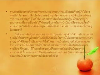 • ส่วนการบริหารการจัดการทรัพยากรประมง พระบาทสมเด็จพระเจ้าอยู่หัว ได้ทรง
  ส่งเสริมให้เกษตรกรรู้จักใช้ทรัพยากรอย่างถูกต้องเหมาะสม และรู้จักบริหารจัดการ
  การประมงอย่างถูกวิธี โดยให้แบ่งเขตระหว่างน้าจืดและน้าเค็ม ให้พัฒนาระบบ
  ชลประทานเพื่อการเลี้ยงกุ้ง ให้ใช้ระบบชีวภาพในการบาบัดน้าเสียจากบ่อเลี้ยงกุ้ง
  ทะเล พร้อมกับให้ศึกษาวิธีเลี้ยงกุ้งทะเลที่ไม่มีผลกระทบต่อระบบนิเวศเดิมที่เป็นอยู่
  ในธรรมชาติ
•      ในด้านการส่งเสริมการประมง ทรงพระกรุณาโปรดเกล้าฯ ให้กรมประมงรณรงค์
  ส่งเสริมให้ประชาชนเลี้ยงปลาในบ่อเป็นประเดิม ในการนี้ได้พระราชทานพระบรมรา
  ชานุญาตให้ใช้สระน้าบริเวณพระที่นั่งอัมพรสถานเป็นบ่อขยายพันธุ์ปลาหมอเทศ
  ด้วย นอกจากนี้ ยังมีพระราชดาริให้รวมการสาธิตการเพาะเลี้ยงสัตว์น้าและการ
  ส่งเสริมอาชีพประมง ไว้ในภารกิจของศูนย์ศึกษาการพัฒนาอันเนื่องมาจาก
  พระราชดาริ ทั้ง ๖ แห่ง และให้โครงการพัฒȨการประมงเป็นส่วนหนึ่งของโครงการ
  พัฒนาอันเนื่องมาจากพระราชดาริทั้งปวงอีกด้วย
 