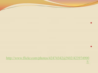 




                                                      


http://www.flickr.com/photos/42474342@N02/423974900
                                                 5/
 