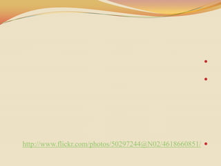 

                                                     




http://www.flickr.com/photos/50297244@N02/4618660851/ 
 