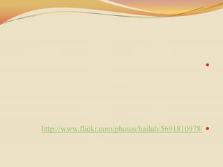 




http://www.flickr.com/photos/hailah/5691810978/ 
 