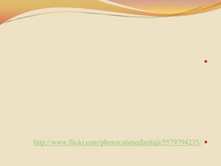 




http://www.flickr.com/photos/ahmedbeltaji/5579794235/ 
 