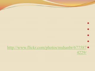 
                                           
                                           
                                           
http://www.flickr.com/photos/mshanbr/677587 
                                      4229/
 