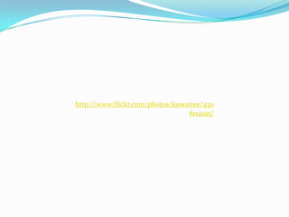 http://www.flickr.com/photos/kuwaitee/430
                                 6114195/
 