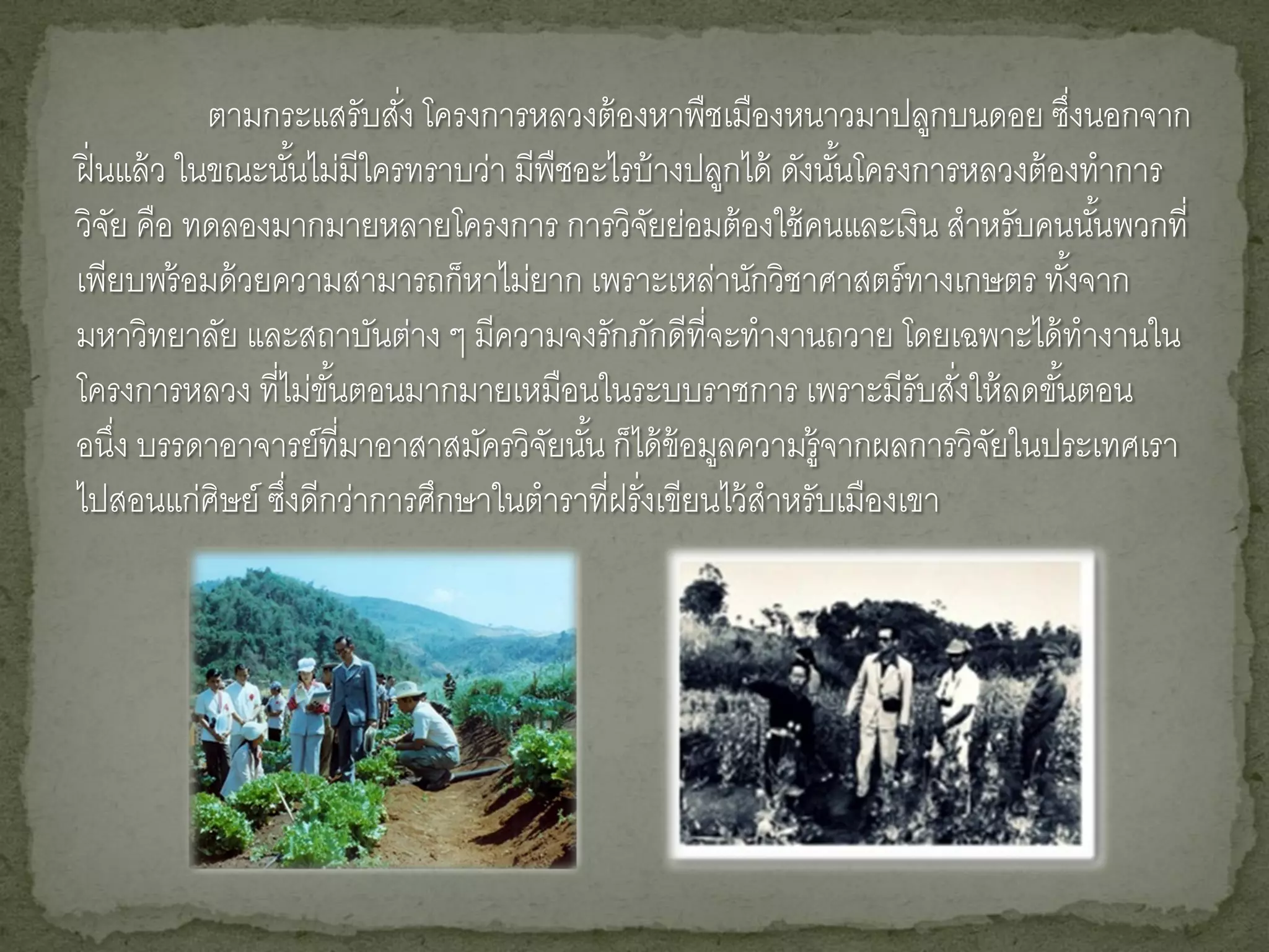 ตามกระแสรับสัง โครงการหลวงต้ องหาพืชเมืองหนาวมาปลูกบนดอย ซึงนอกจาก
                           ่                                                      ่
ฝิ่ นแล้ ว ในขณะนันไม่มีใครทราบว่า มีพืชอะไรบ้ างปลูกได้ ดังนันโครงการหลวงต้ องทาการ
                   ้                                          ้
วิจย คือ ทดลองมากมายหลายโครงการ การวิจยย่อมต้ องใช้ คนและเงิน สาหรับคนนันพวกที่
     ั                                       ั                                      ้
เพียบพร้ อมด้ วยความสามารถก็หาไม่ยาก เพราะเหล่านักวิชาศาสตร์ ทางเกษตร ทังจาก    ้
มหาวิทยาลัย และสถาบันต่าง ๆ มีความจงรักภักดีที่จะทางานถวาย โดยเฉพาะได้ ทางานใน
โครงการหลวง ที่ไม่ขนตอนมากมายเหมือนในระบบราชการ เพราะมีรับสังให้ ลดขันตอน
                     ั้                                               ่       ้
อนึง บรรดาอาจารย์ที่มาอาสาสมัครวิจยนัน ก็ได้ ข้อมูลความรู้จากผลการวิจยในประเทศเรา
       ่                              ั ้                               ั
ไปสอนแก่ศิษย์ ซึงดีกว่าการศึกษาในตาราที่ฝรั่งเขียนไว้ สาหรับเมืองเขา
                 ่
 