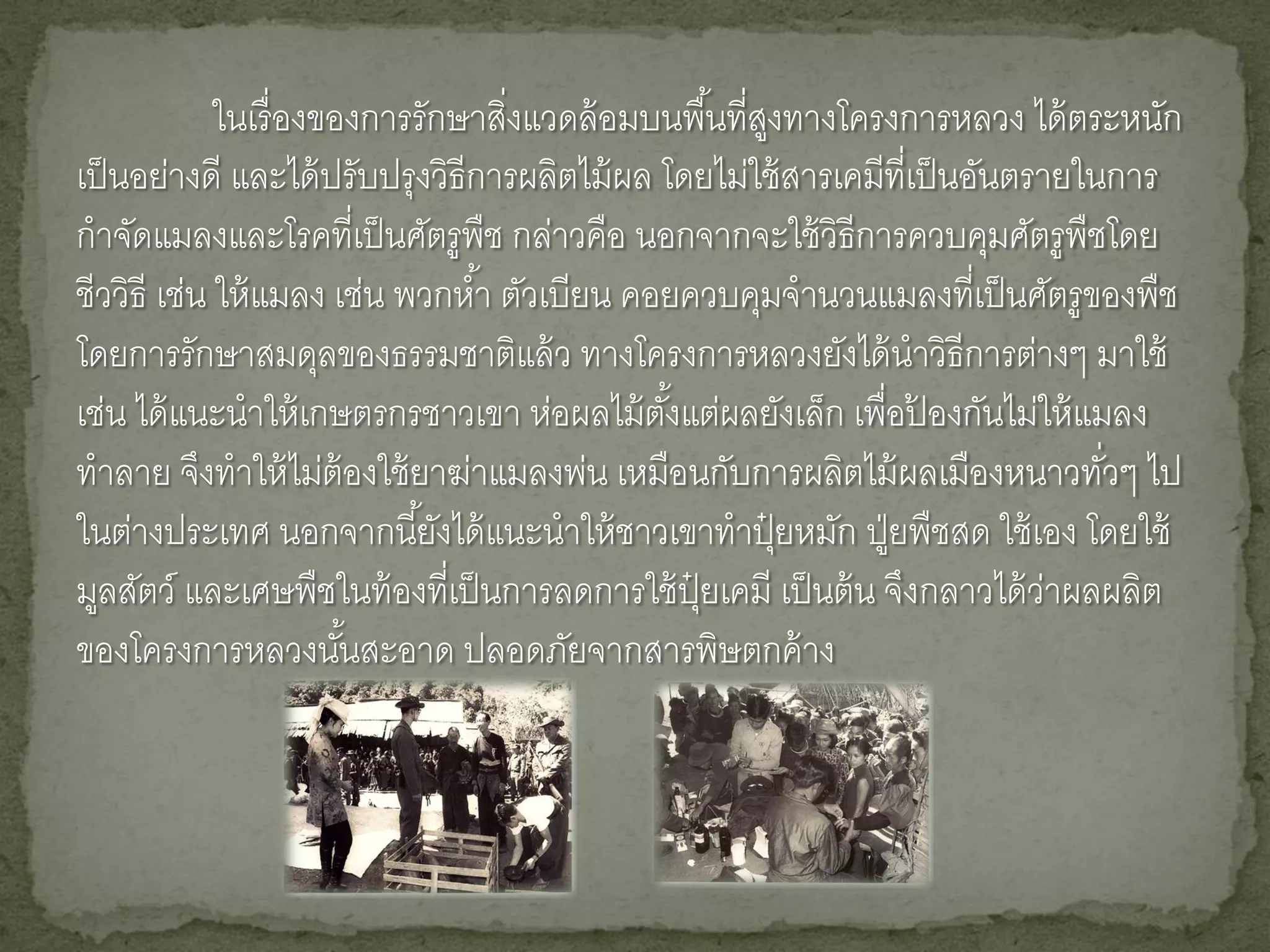 ในเรื่ องของการรักษาสิงแวดล้ อมบนพื ้นที่สงทางโครงการหลวง ได้ ตระหนัก
                                   ่                     ู
เป็ นอย่างดี และได้ ปรับปรุงวิธีการผลิตไม้ ผล โดยไม่ใช้ สารเคมีที่เป็ นอันตรายในการ
กาจัดแมลงและโรคที่เป็ นศัตรูพืช กล่าวคือ นอกจากจะใช้ วิธีการควบคุมศัตรูพืชโดย
ชีววิธี เช่น ให้ แมลง เช่น พวกห ้า ตัวเบียน คอยควบคุมจานวนแมลงที่เป็ นศัตรูของพืช
โดยการรักษาสมดุลของธรรมชาติแล้ ว ทางโครงการหลวงยังได้ นาวิธีการต่างๆ มาใช้
เช่น ได้ แนะนาให้ เกษตรกรชาวเขา ห่อผลไม้ ตงแต่ผลยังเล็ก เพื่อปองกันไม่ให้ แมลง
                                              ั้                   ้
ทาลาย จึงทาให้ ไม่ต้องใช้ ยาฆ่าแมลงพ่น เหมือนกับการผลิตไม้ ผลเมืองหนาวทัวๆ ไป   ่
ในต่างประเทศ นอกจากนี ้ยังได้ แนะนาให้ ชาวเขาทาปุยหมัก ปู่ ยพืชสด ใช้ เอง โดยใช้
                                                       ๋
มูลสัตว์ และเศษพืชในท้ องที่เป็ นการลดการใช้ ป๋ ยเคมี เป็ นต้ น จึงกลาวได้ วาผลผลิต
                                                 ุ                           ่
ของโครงการหลวงนันสะอาด ปลอดภัยจากสารพิษตกค้ าง
                        ้
 