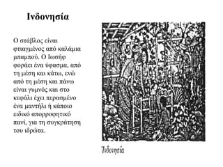Ιλδνλεζία

Ο ζηάβινο είλαη
θηηαγκέλνο από θαιάκηα
κπακπνύ. Ο Ισζήθ
θνξάεη έλα ύθαζκα, από
ηε κέζε θαη θάησ, ελώ
από ηε κέζε θαη πάλσ
είλαη γπκλόο θαη ζην
θεθάιη έρεη πεξαζκέλν
έλα καληήιη ή θάπνην
εηδηθό απνξξνθεηηθό
παλί, γηα ηε ζπγθξάηεζε
ηνπ ηδξώηα.
 