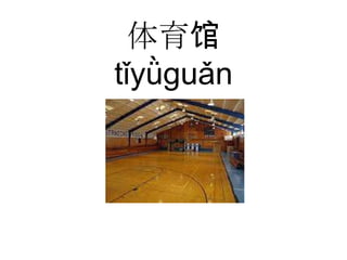 体育馆
tǐyǜguǎn
 