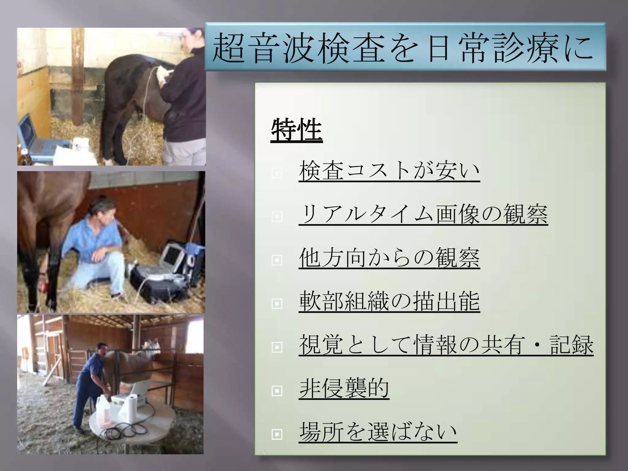 馬；一次診療における超音波画像診断 | PPTX