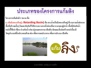 โครงการแก้ มลิงมี 3 ขนาด คือ
1. แก้ มลิงขนาดใหญ่ ( Retarding Basin) คือ สระนาหรือบึงขนาดใหญ่ ทีรวบรวมนาฝนจาก
                                                               ้                     ่          ้
พืนทีบริเวณนั้นๆ โดยจะกักเก็บไว้ เป็ นระยะเวลาหนึ่งก่ อนทีจะระบายลงสู่ ลานา พืนทีเ่ ก็บกักนา
  ้ ่                                                            ่                ้ ้             ้
เหล่ านีได้ แก่ เขือน อ่ างเก็บนา ฝาย ทุ่งเกษตรกรรม เป็ นต้ น ลักษณะสิ่ งก่ อสร้ างเหล่ านีจะมี
        ้            ่          ้                                                          ้
วัตถุประสงค์ อนประกอบด้ วย เช่ น เพือการชลประทาน เพือการประมง เป็ นต้ น
                  ่ื                      ่                  ่




                                   นางสาวกิตติมา จรจรัญ ม.4/7 เลขที่13
 