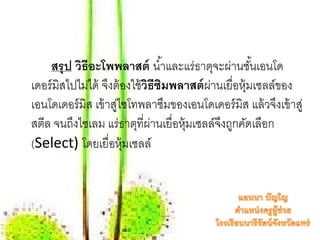 สรุป วธีอะโพพลาสต์ นํ ้าและแร่ธาตุจะผ่านชันเอนโด
            ิ                                       ้
เดอร์ มิสไปไมได้ จงต้องใช้วธีซมพลาสต์ผ่านเยื่อหุ้มเซลล์ของ
              ่ ึ          ิ ิ
เอนโดเดอร์มิส เข้ าสูไซโทพลาซึมของเอนโดเดอร์มิส แล้ วจึงเข้ าสู่
                    ่
สตีล จนถึงไซเลม แร่ธาตุที่ผ่านเยื่อหุ้มเซลล์จงถูกคัดเลือก
                                             ึ
(Select) โดยเยื่อหุ้มเซลล์
 