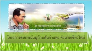 โครงการสหกรณ์หมู่บ้านสันกาแพง จังหวัดเชียงใหม่
 
