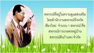สหกรณ์ที่อยู่ในความดูแลส่งเสริม
  โดยสานักงานสหกรณ์จังหวัด
เชียงใหม่ จานวน 1 สหกรณ์ คือ
   สหกรณ์การเกษตรหมู่บ้าน
    สหกรณ์สันกาแพง จากัด
 
